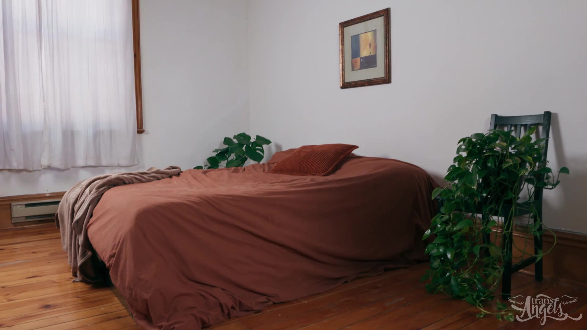 Scene 2 Frame 204