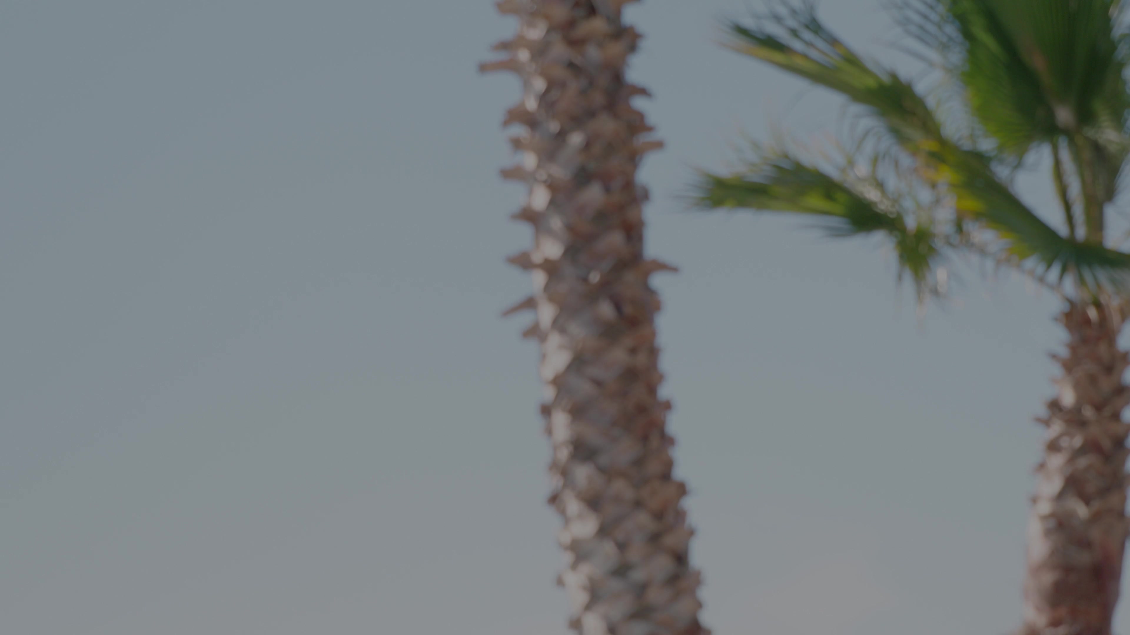 Scene 1 thumbnail