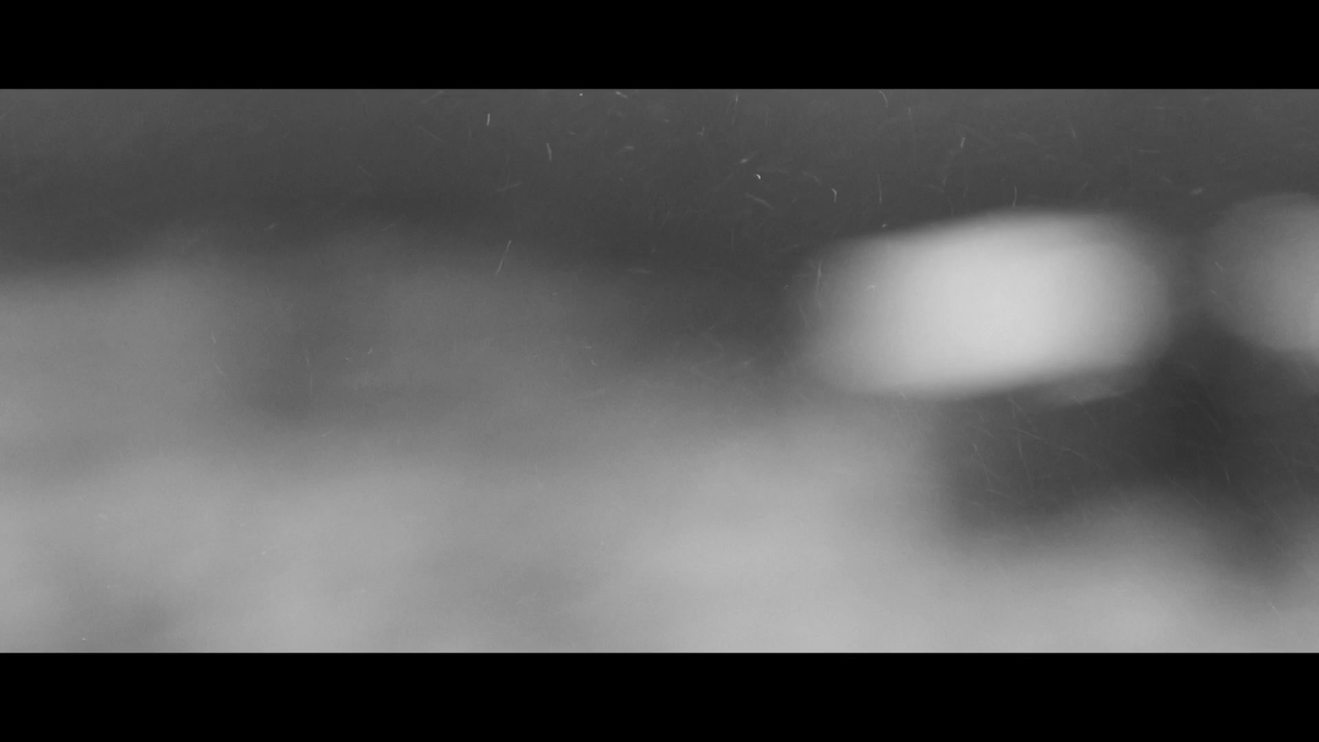 Scene thumb