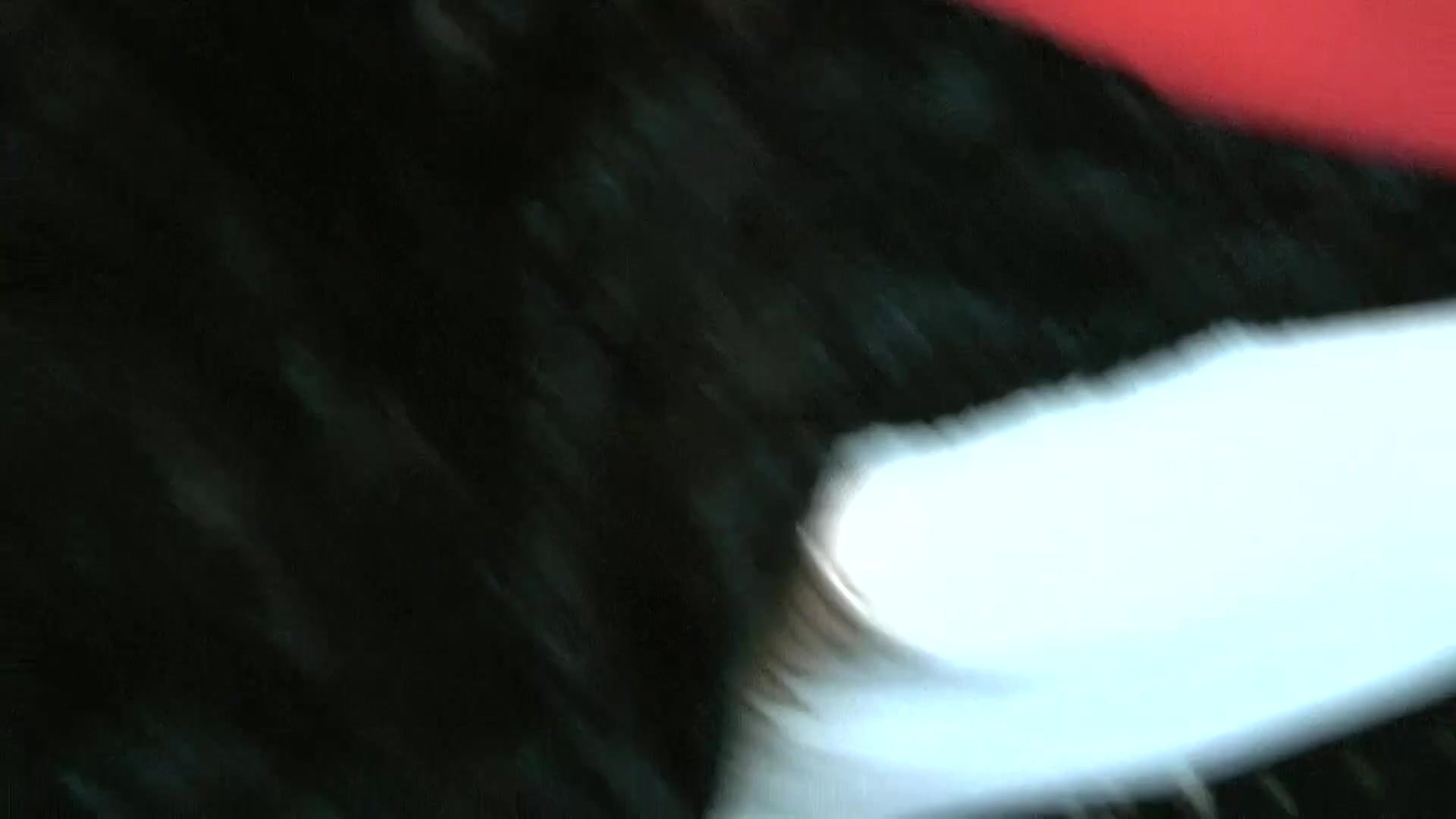 Scene 2 Frame 250