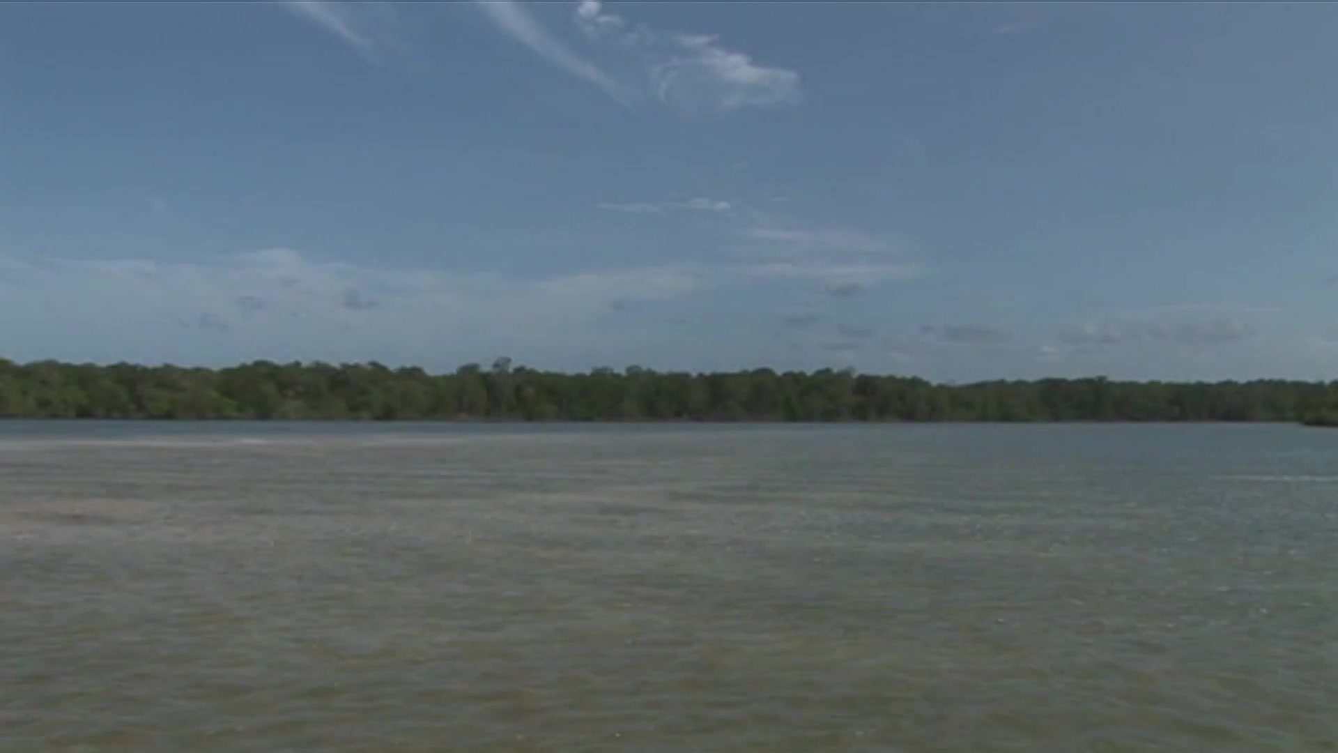 Scene 4 thumbnail