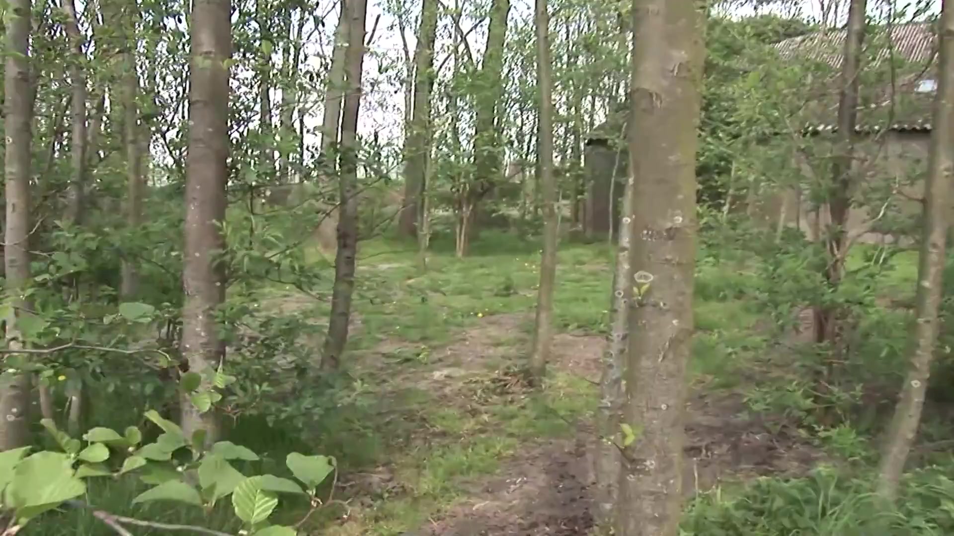 Scene 1 Frame 3