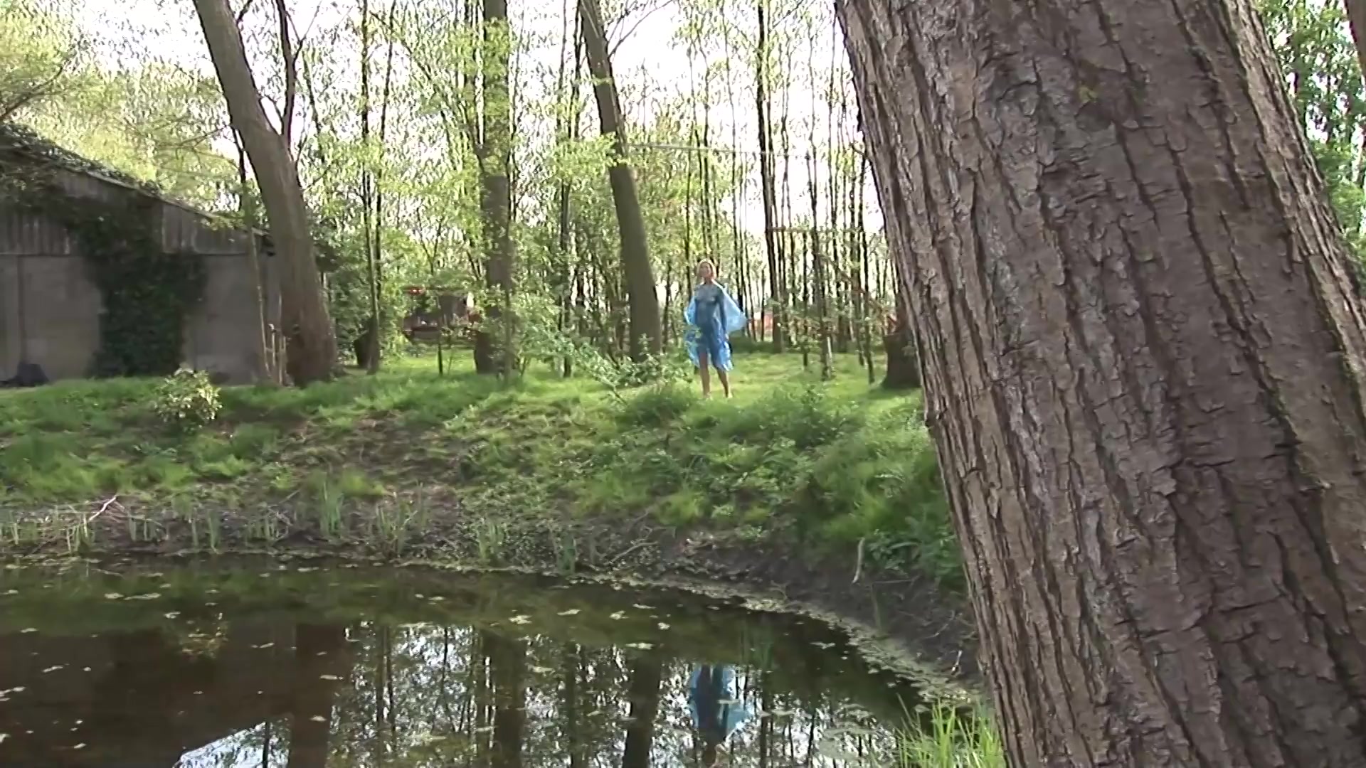Scene 1 Frame 6