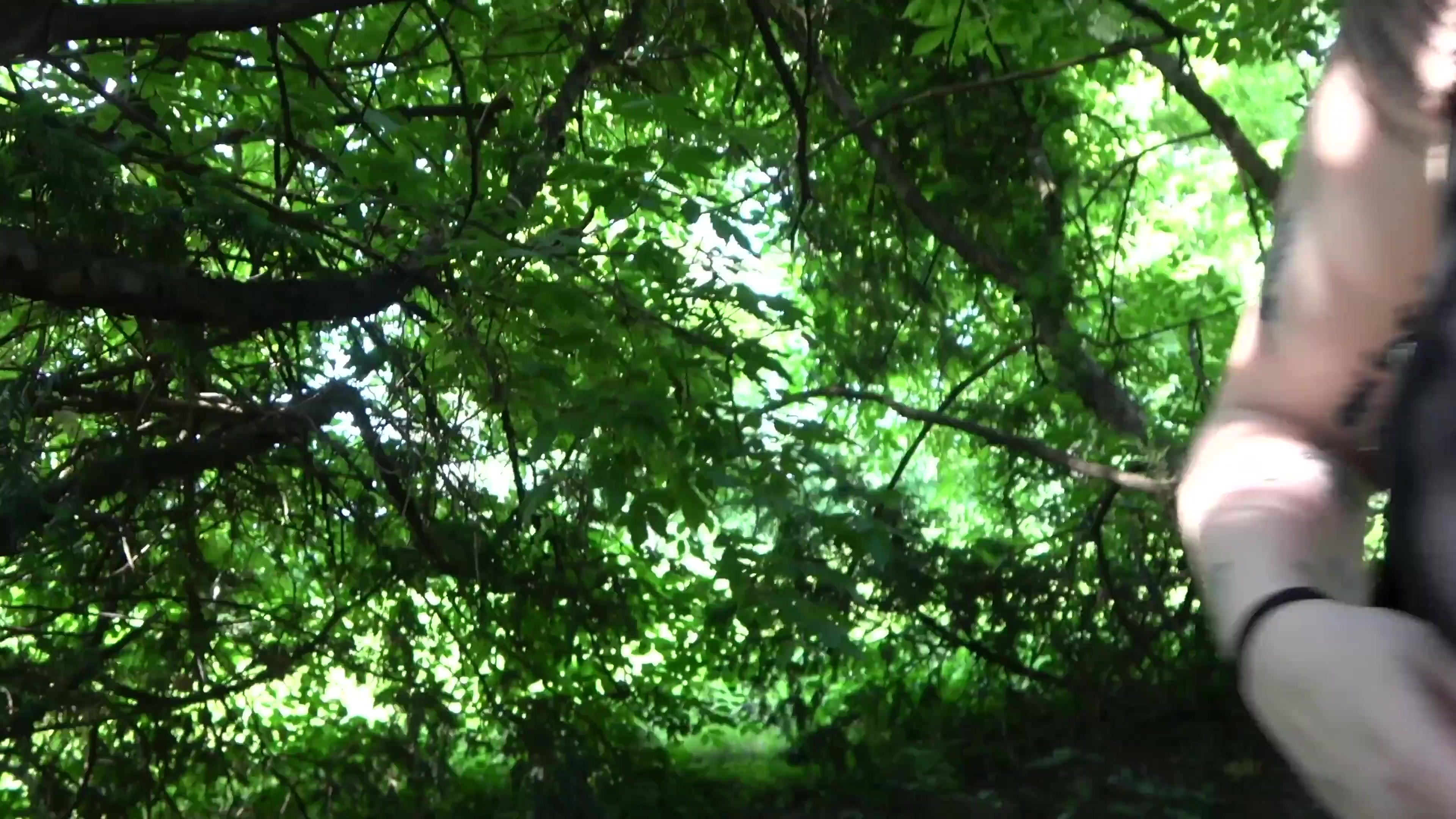 Scene 5 Frame 602