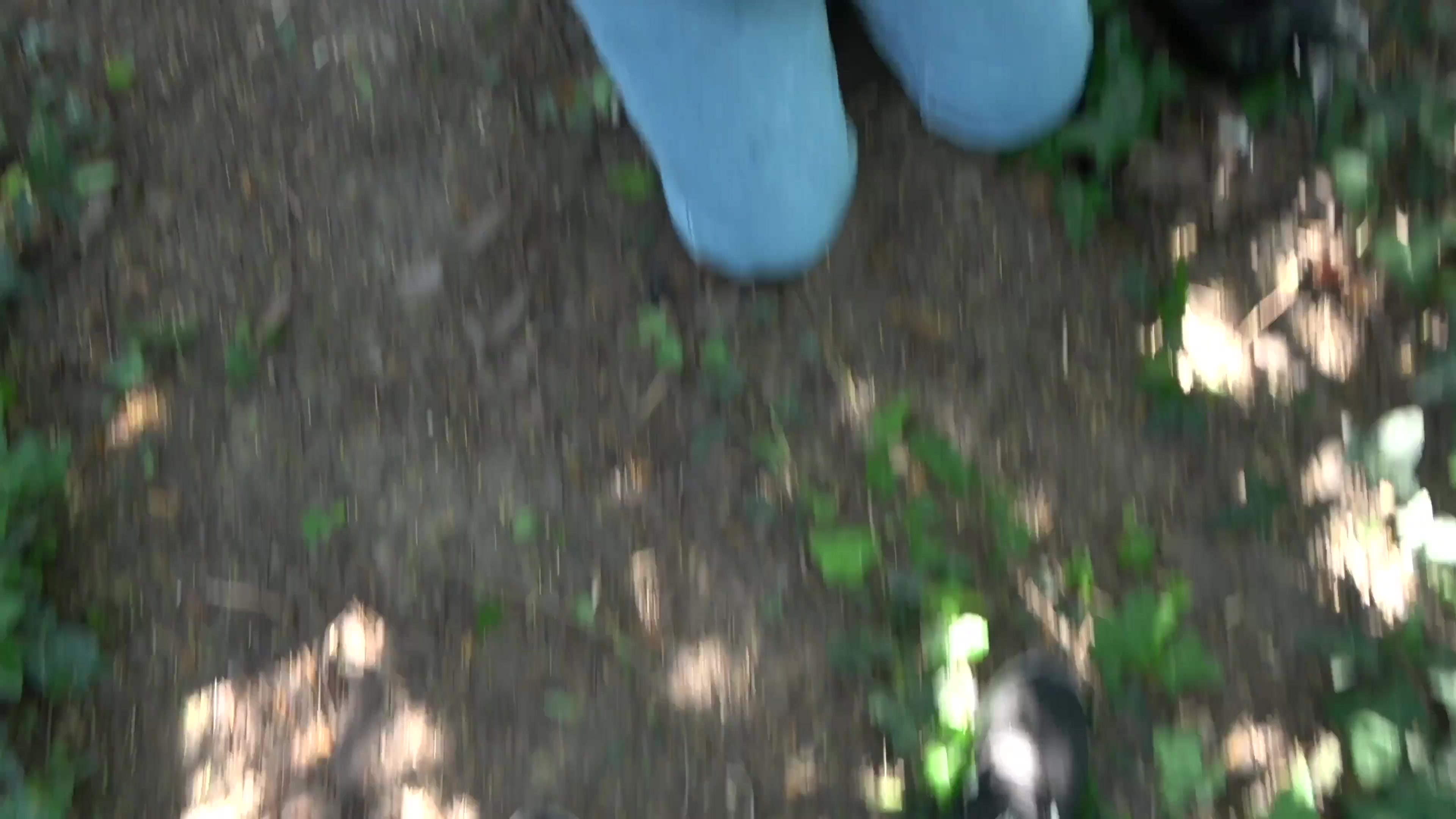 Scene thumb