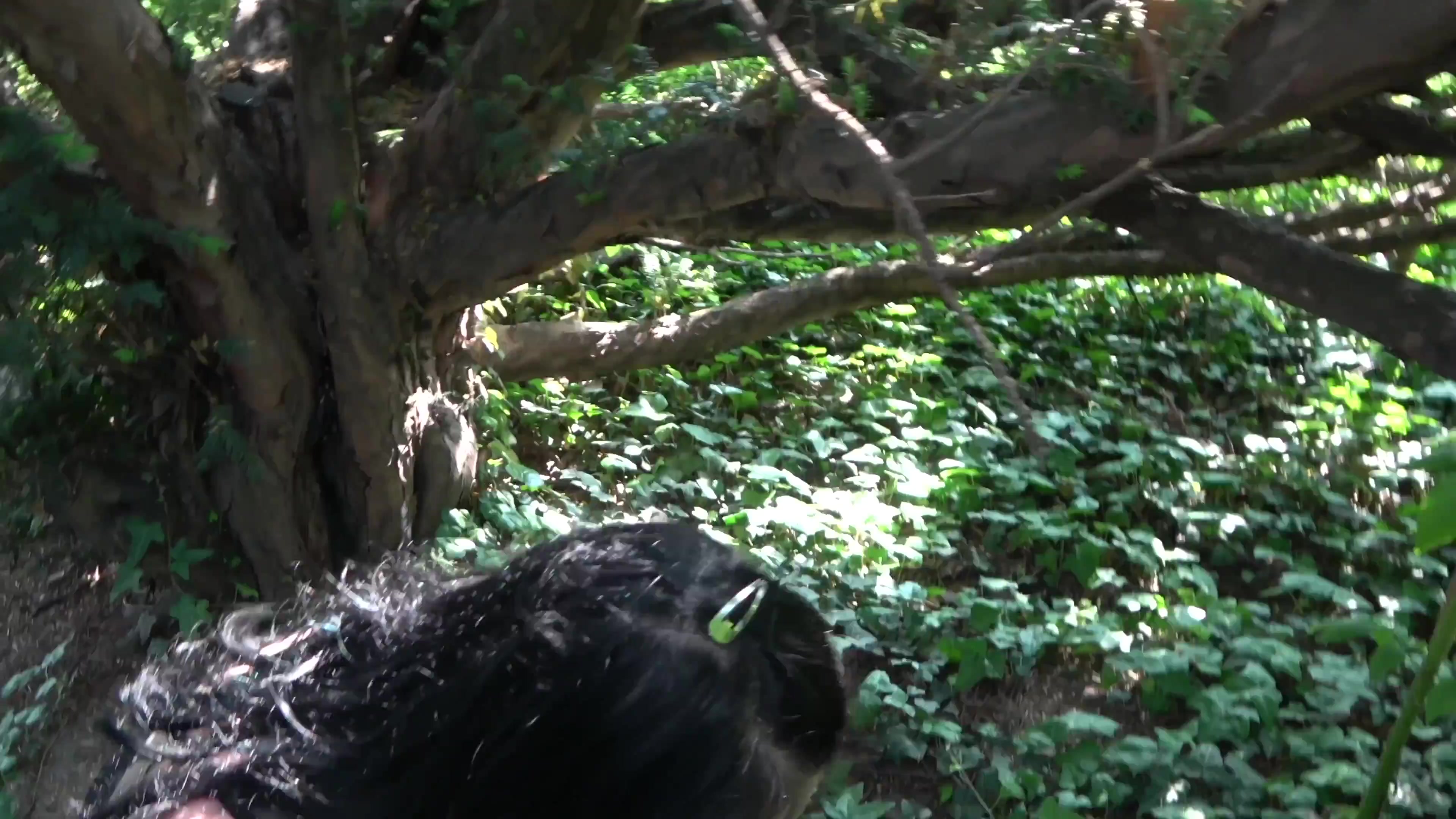 Scene 5 Frame 661