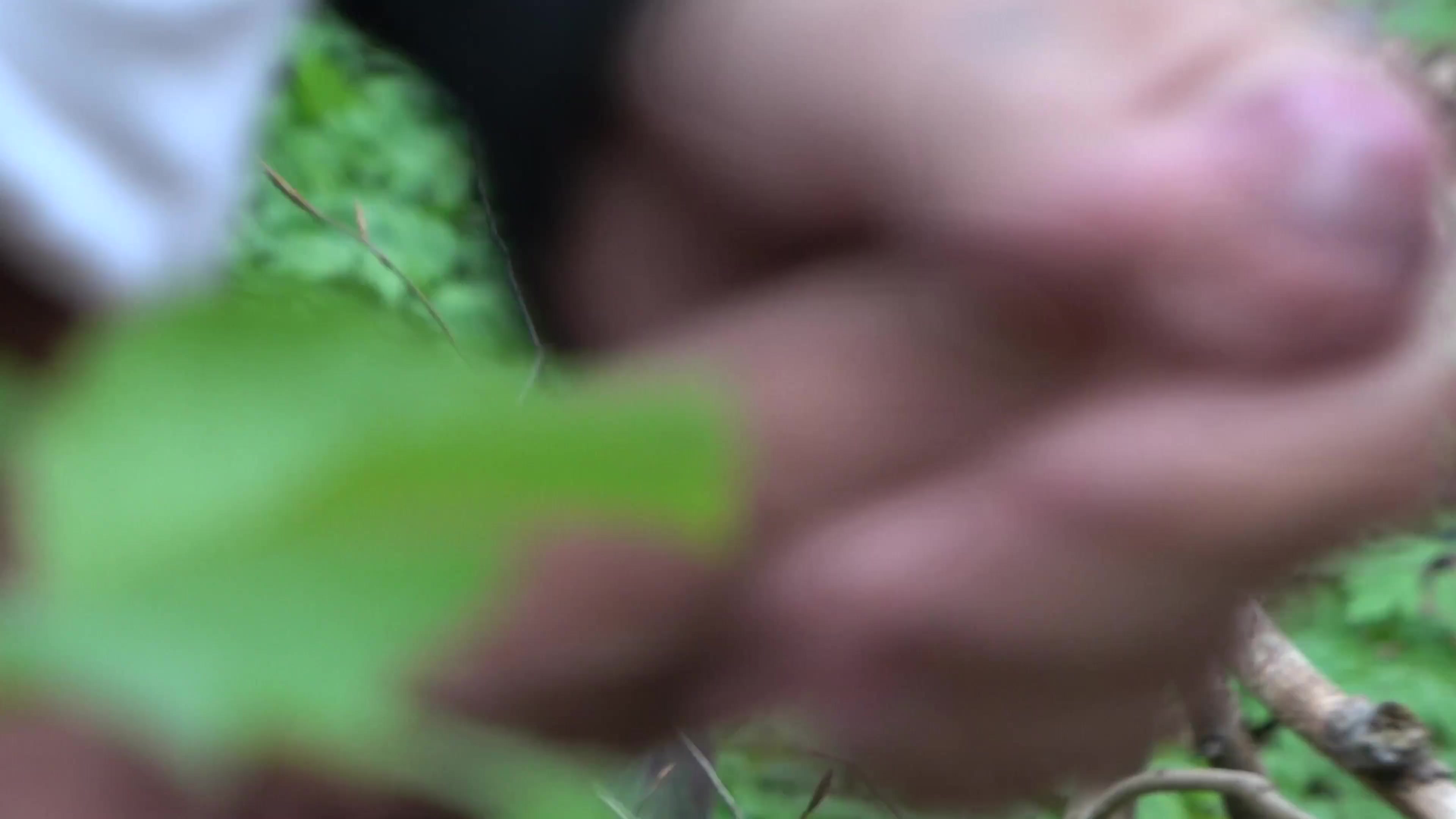 Scene thumb