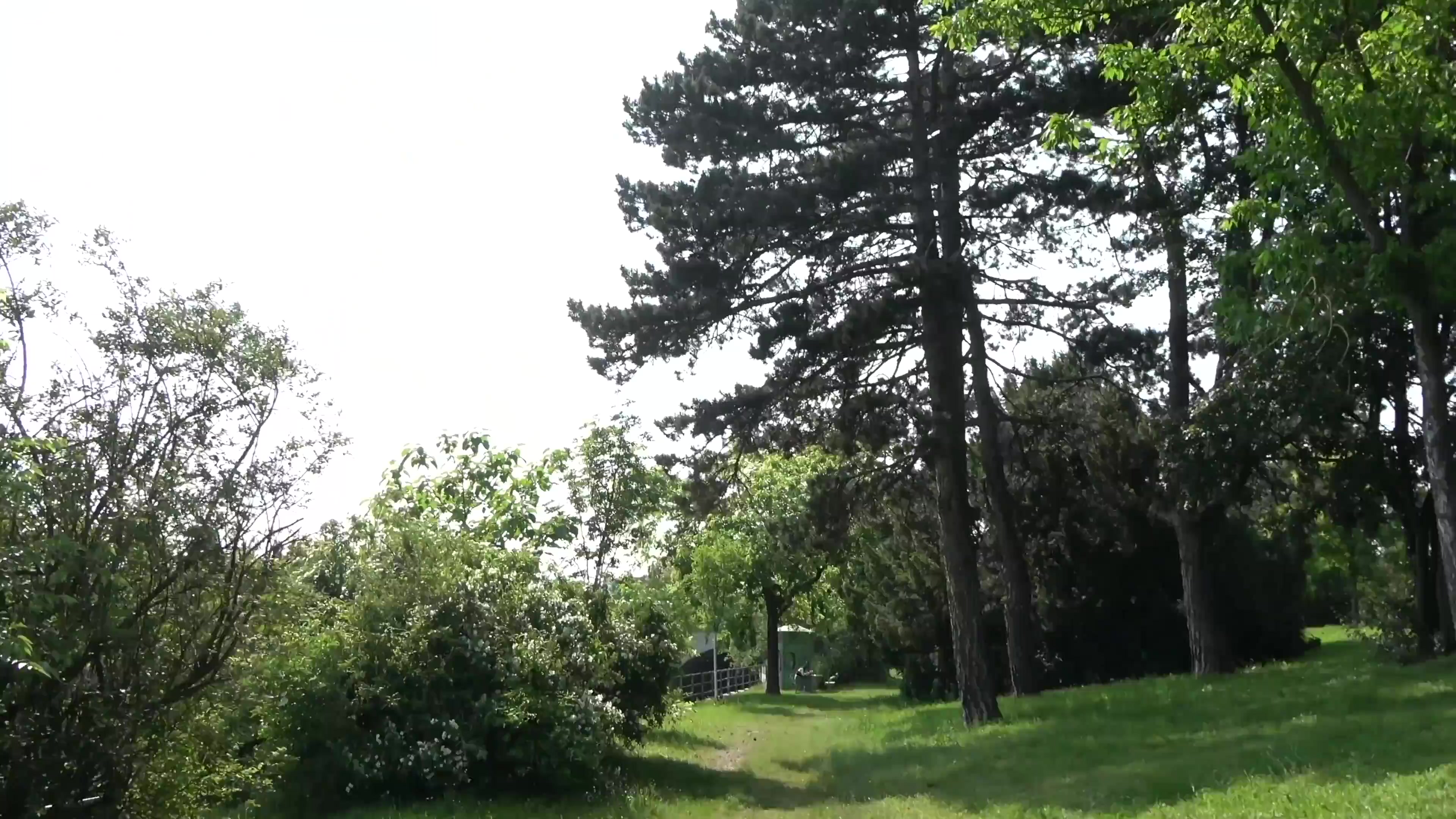 Scene 2 thumbnail
