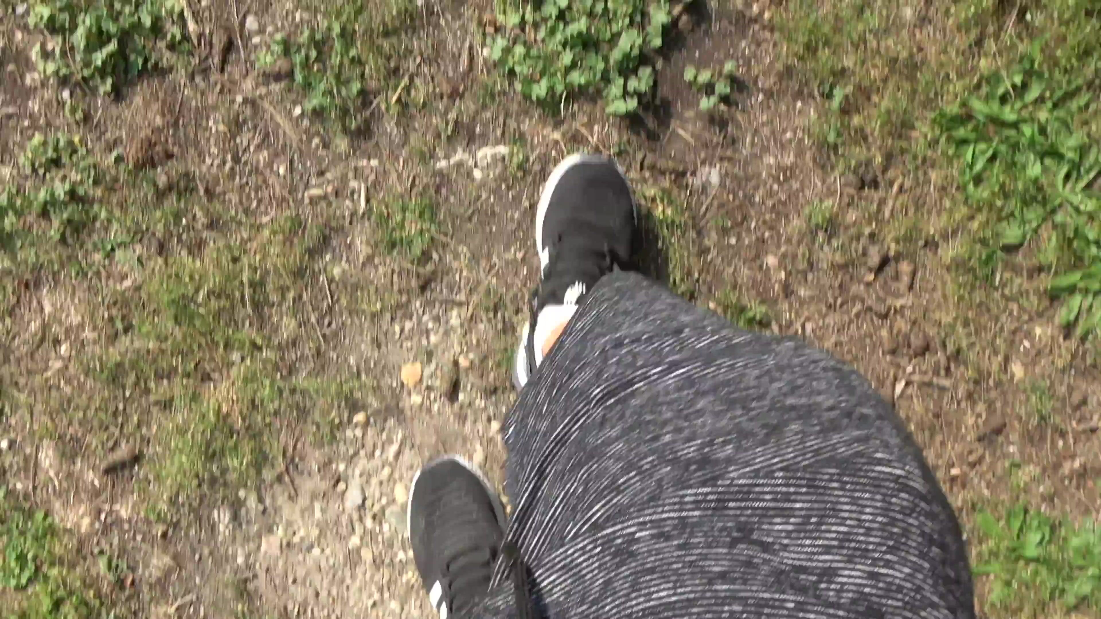 Scene thumb