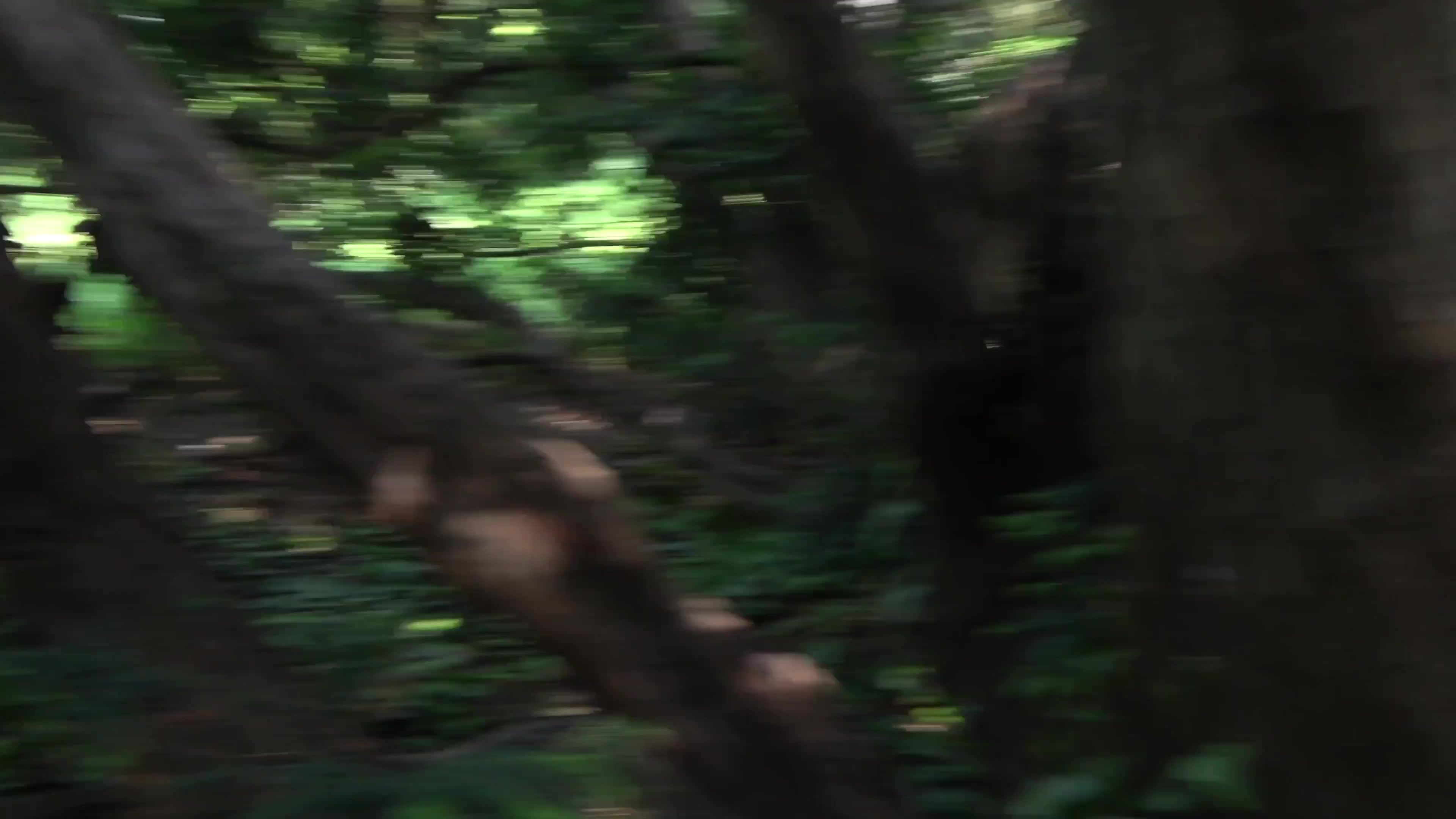 Scene thumb
