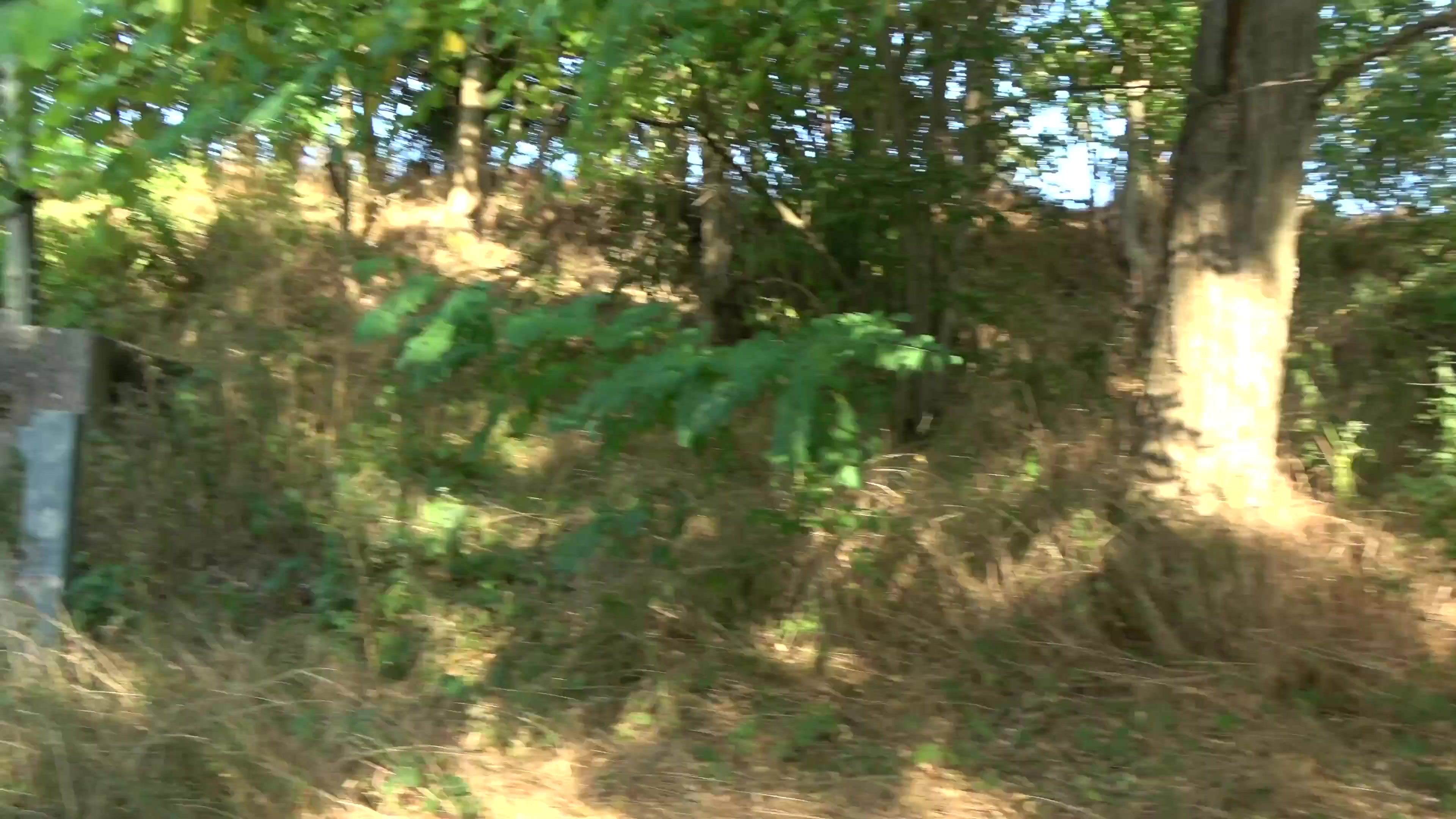 Scene thumb