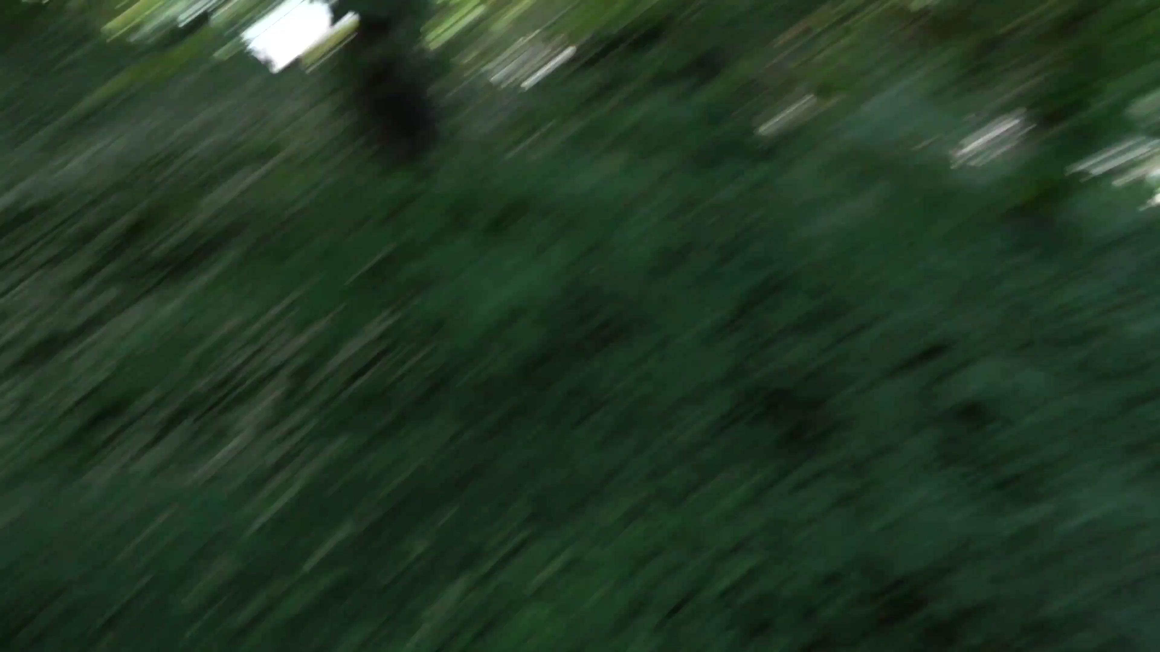 Scene thumb