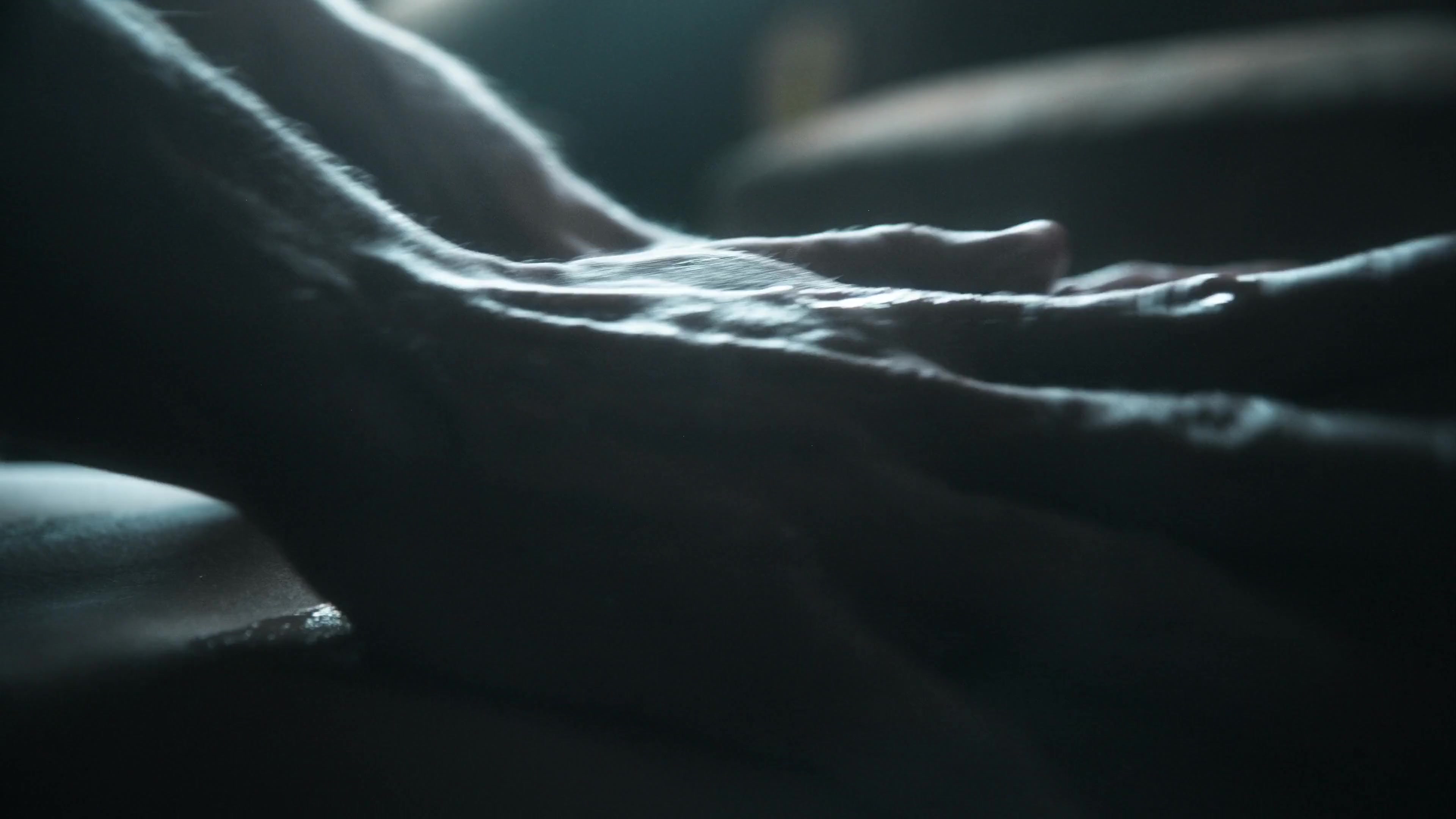 Scene 2 Frame 231