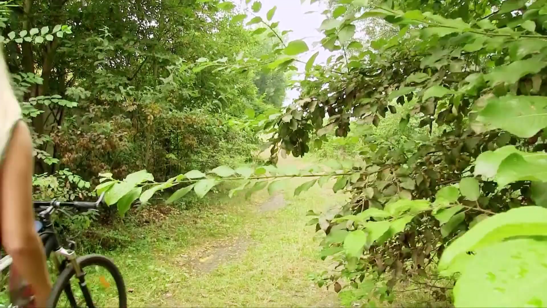Scene thumb