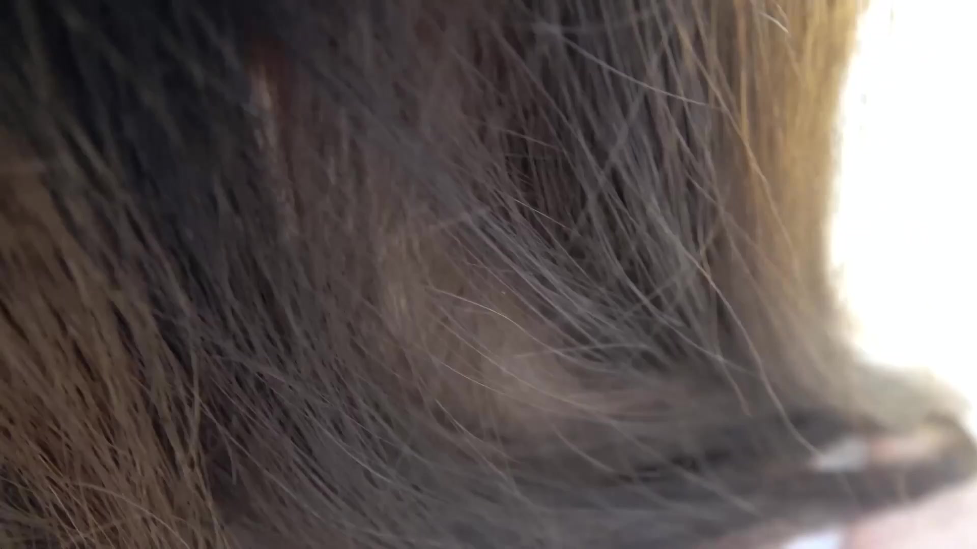Scene 1 Frame 172