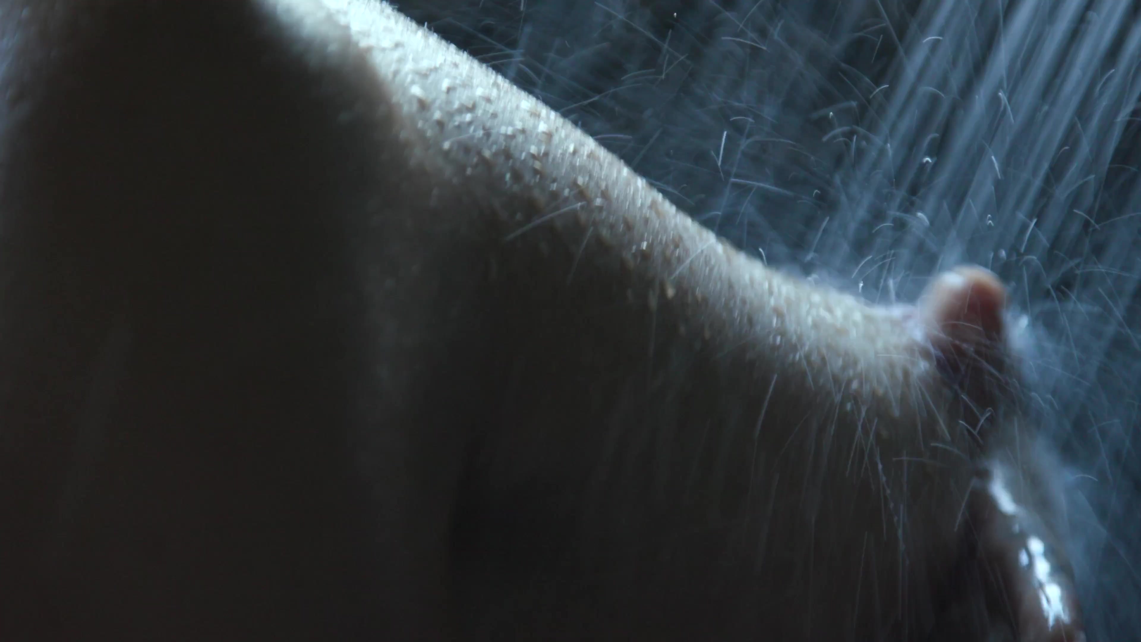 Scene thumb