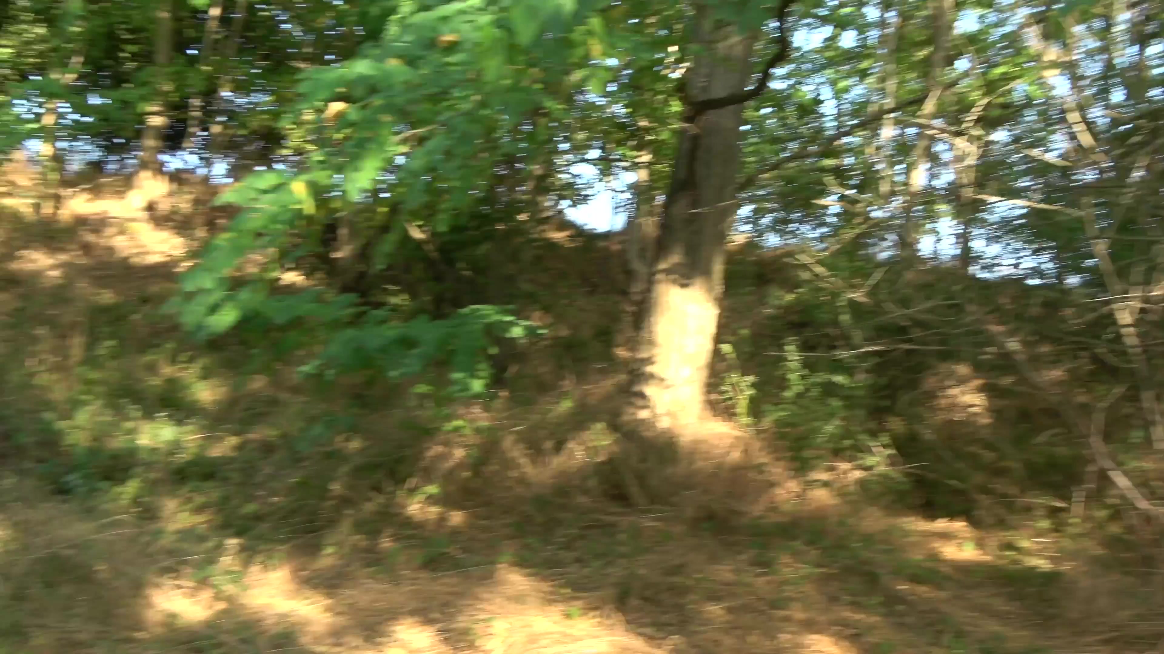Scene thumb