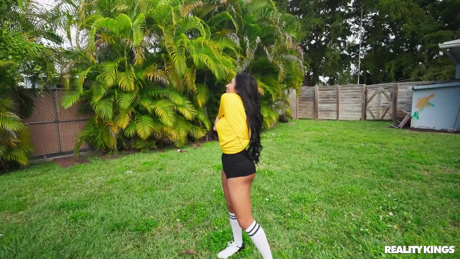 Scene 1 Frame 25