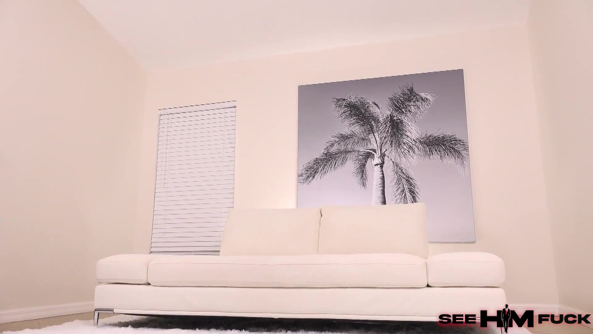 Scene 1 Frame 19