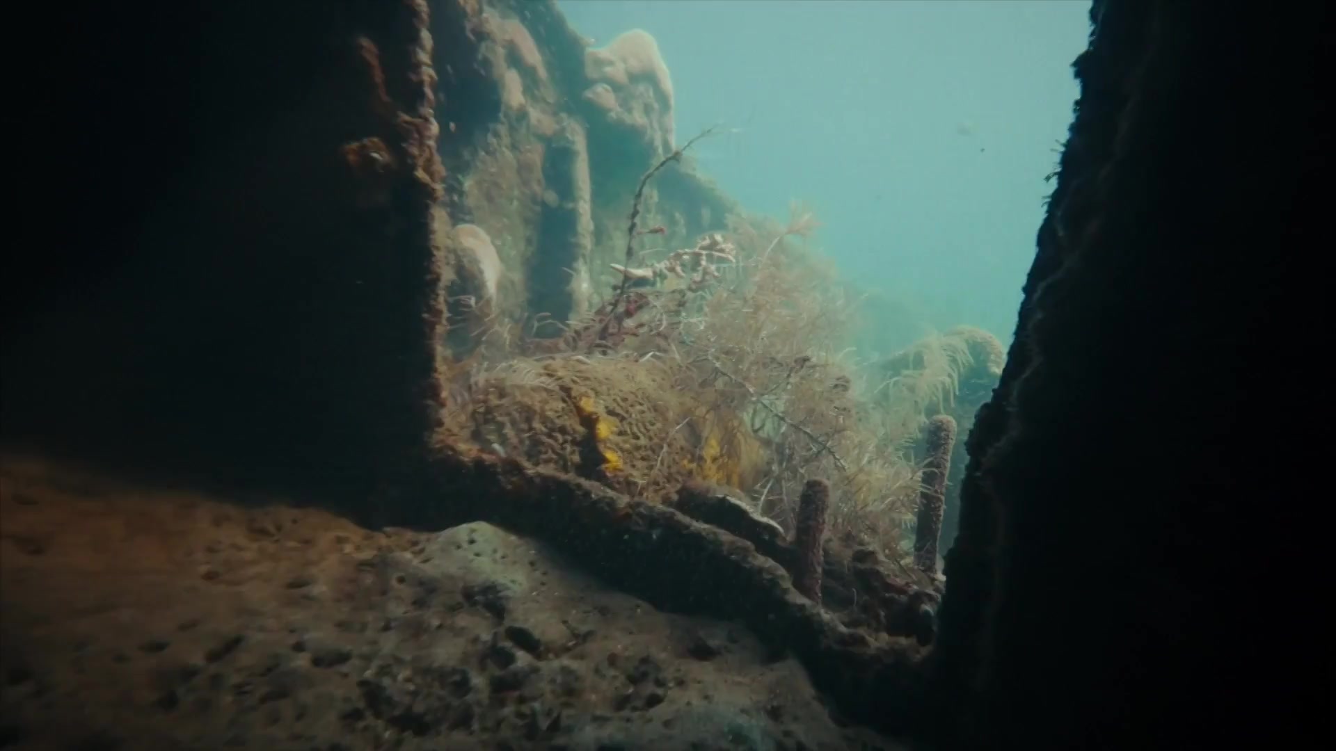 Scene 1 Frame 9